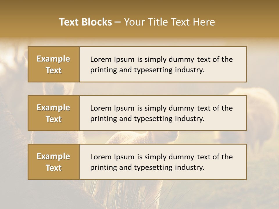 Farm Spring Lambs PowerPoint Template