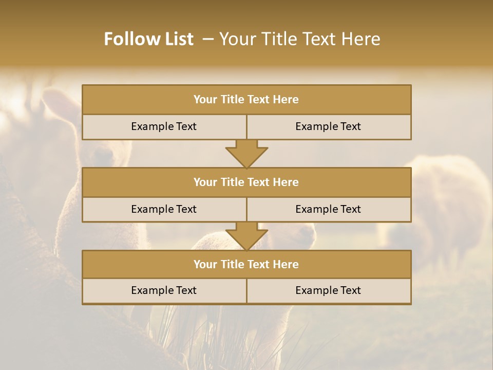 Farm Spring Lambs PowerPoint Template