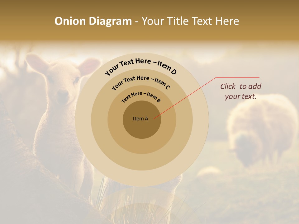 Farm Spring Lambs PowerPoint Template