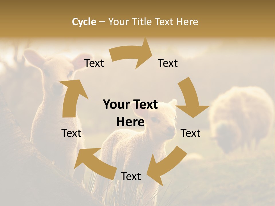 Farm Spring Lambs PowerPoint Template