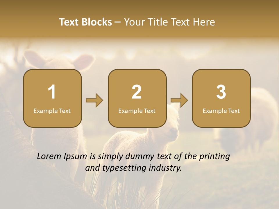 Farm Spring Lambs PowerPoint Template