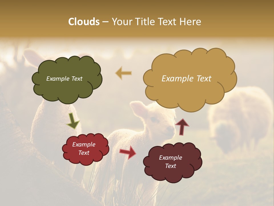 Farm Spring Lambs PowerPoint Template