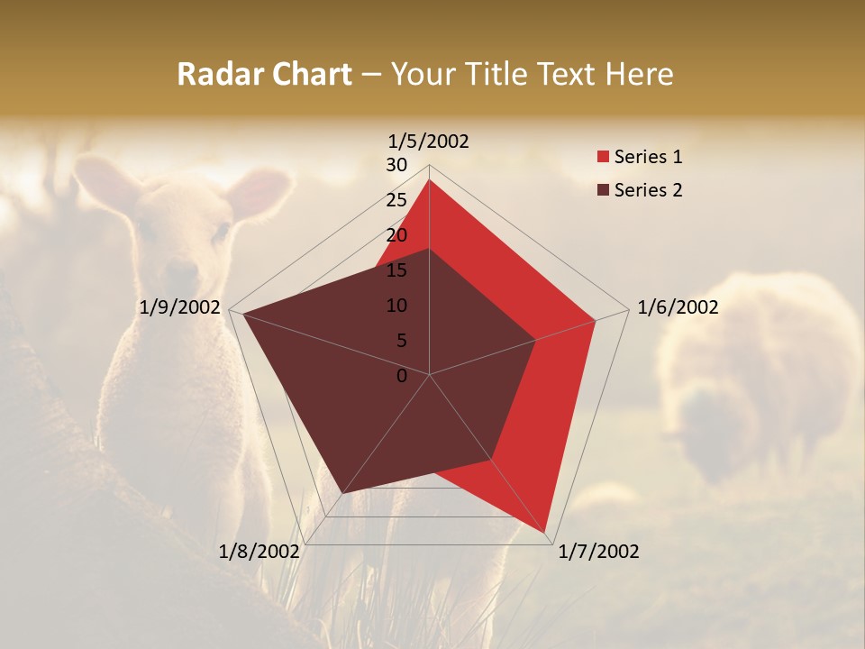 Farm Spring Lambs PowerPoint Template