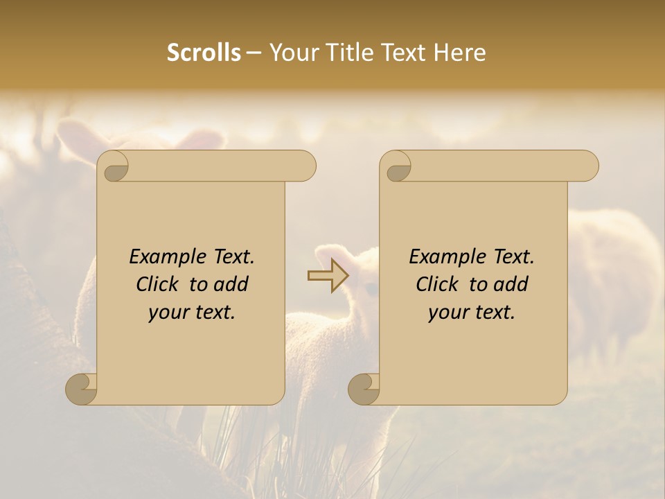 Farm Spring Lambs PowerPoint Template
