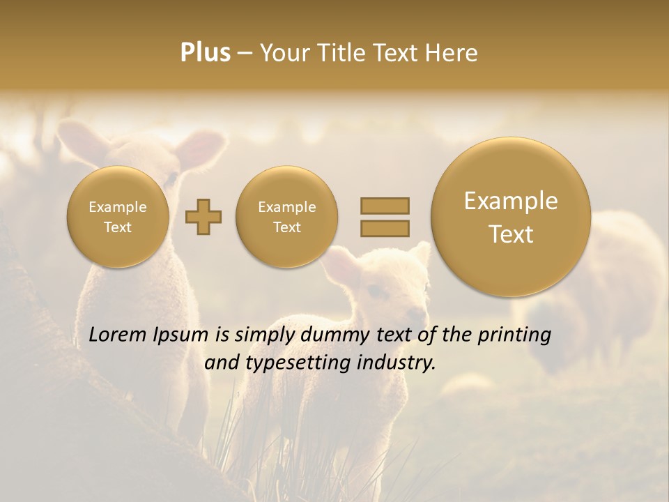 Farm Spring Lambs PowerPoint Template