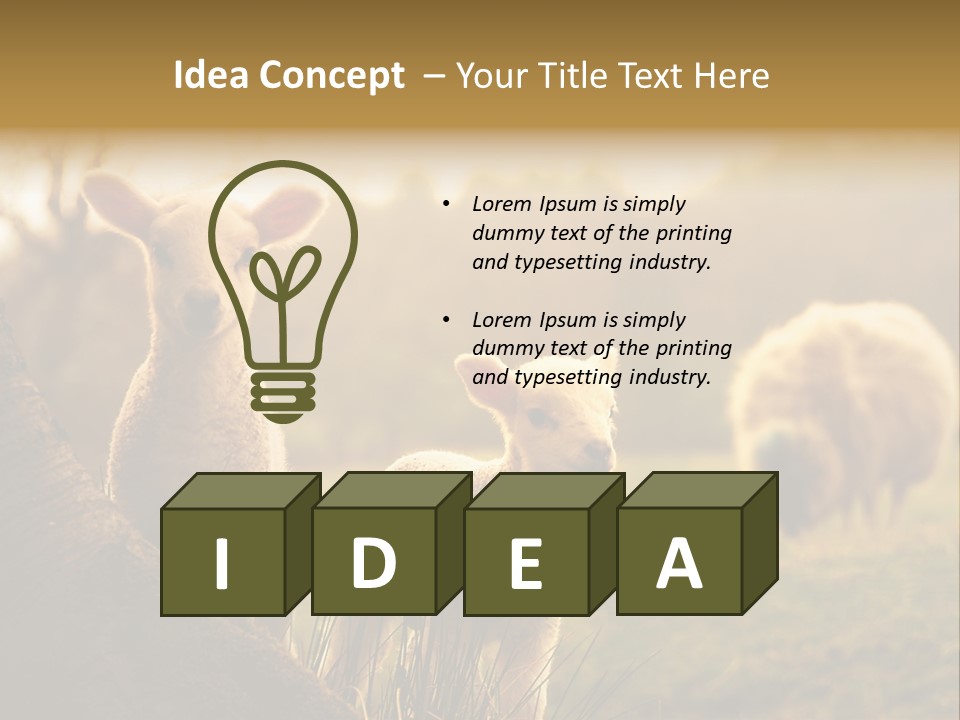 Farm Spring Lambs PowerPoint Template