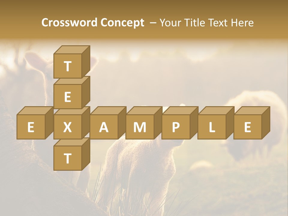 Farm Spring Lambs PowerPoint Template