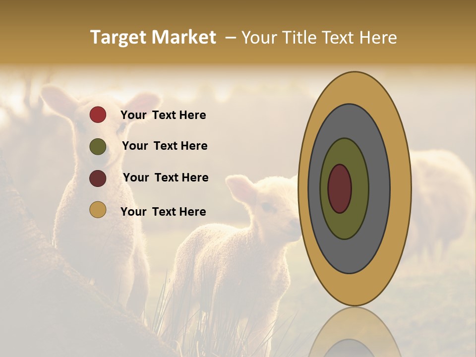 Farm Spring Lambs PowerPoint Template