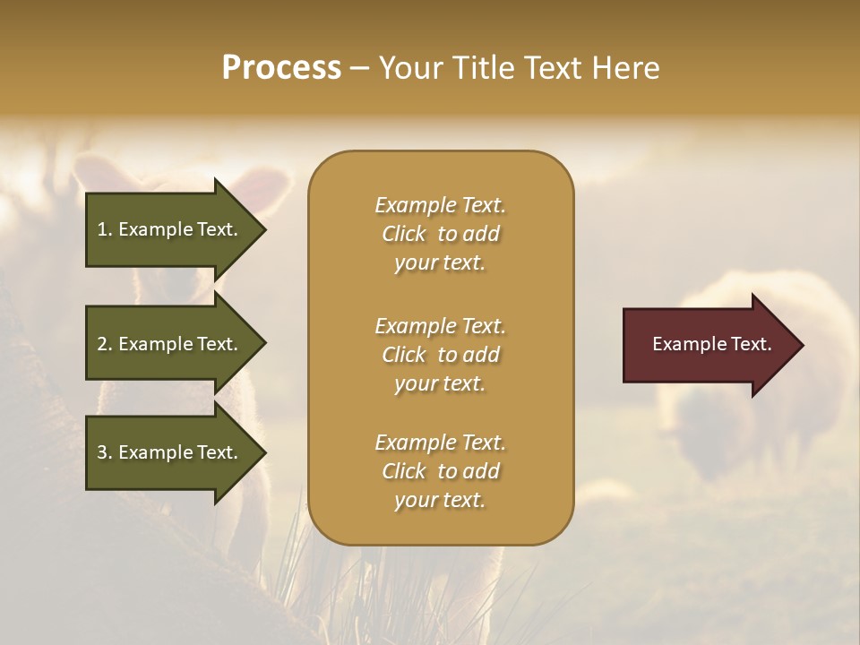 Farm Spring Lambs PowerPoint Template