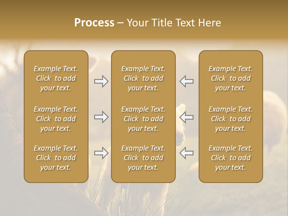 Farm Spring Lambs PowerPoint Template