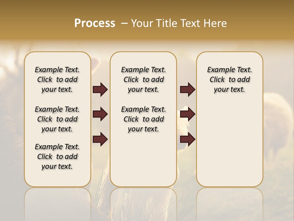 Farm Spring Lambs PowerPoint Template