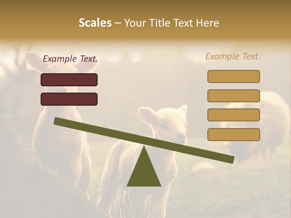Farm Spring Lambs PowerPoint Template