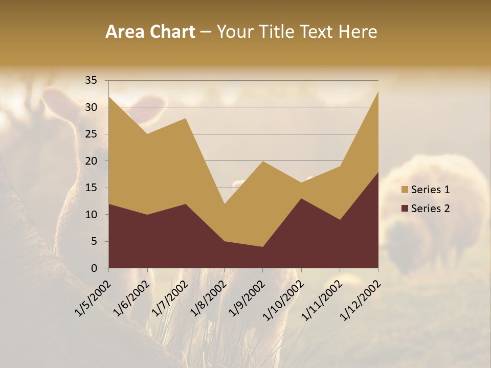 Farm Spring Lambs PowerPoint Template