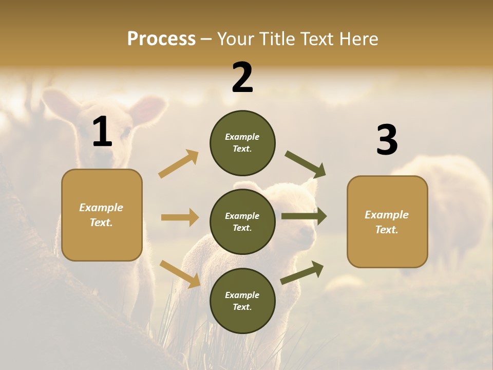 Farm Spring Lambs PowerPoint Template