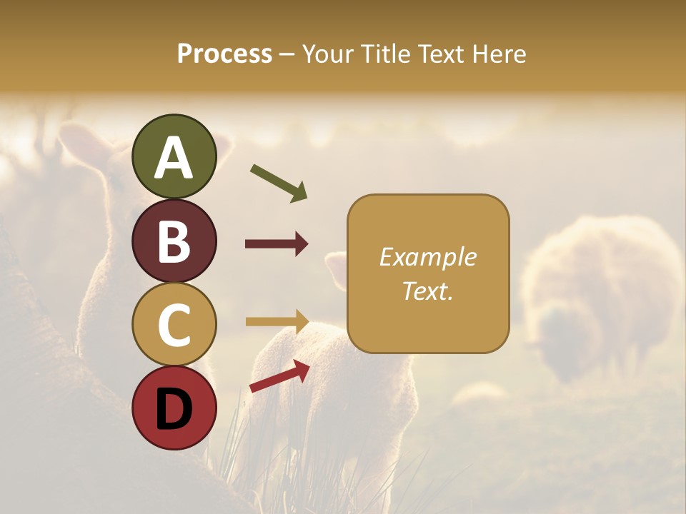 Farm Spring Lambs PowerPoint Template