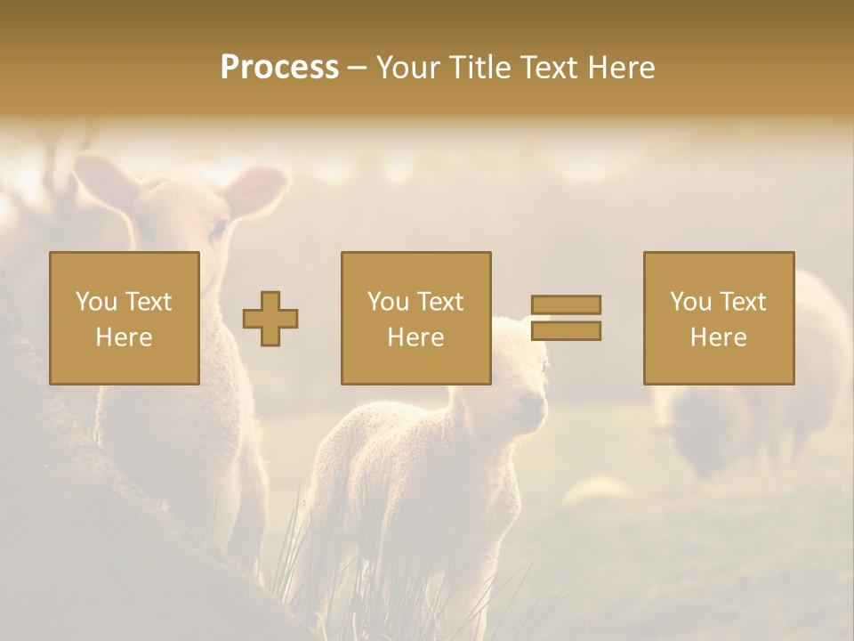 Farm Spring Lambs PowerPoint Template