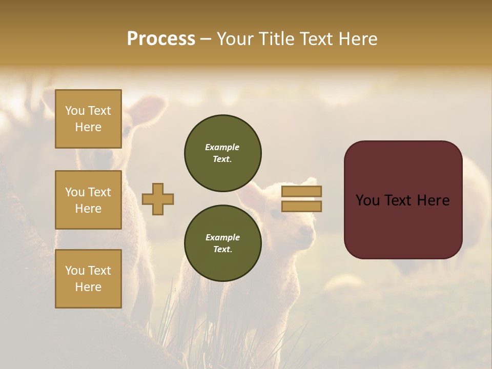 Farm Spring Lambs PowerPoint Template