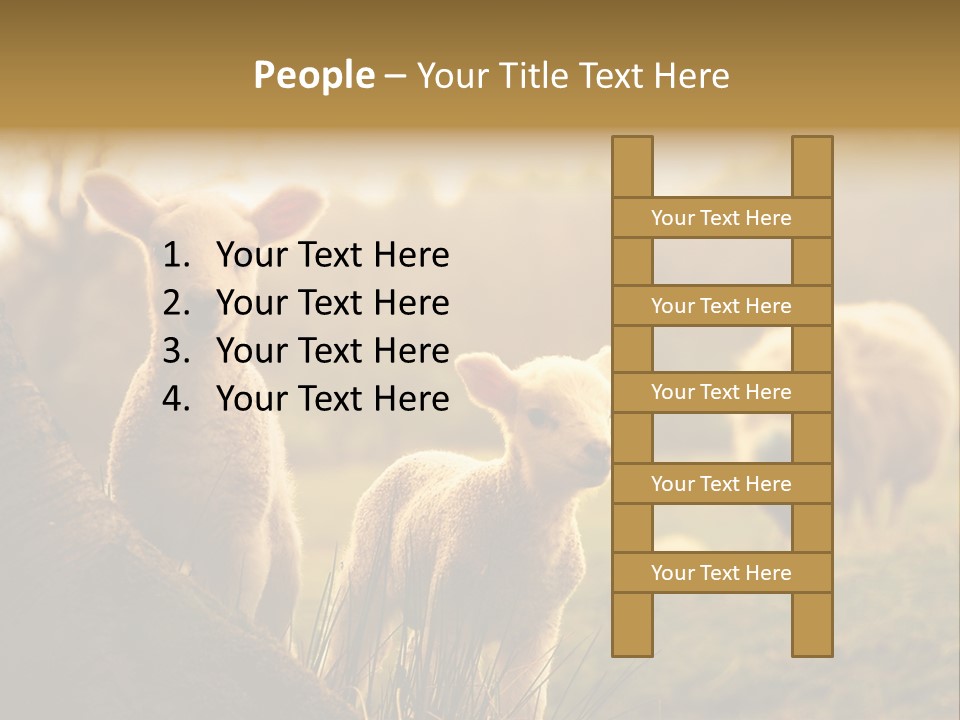 Farm Spring Lambs PowerPoint Template