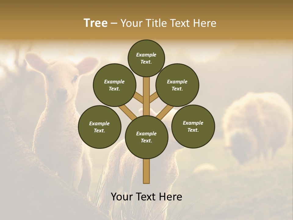 Farm Spring Lambs PowerPoint Template