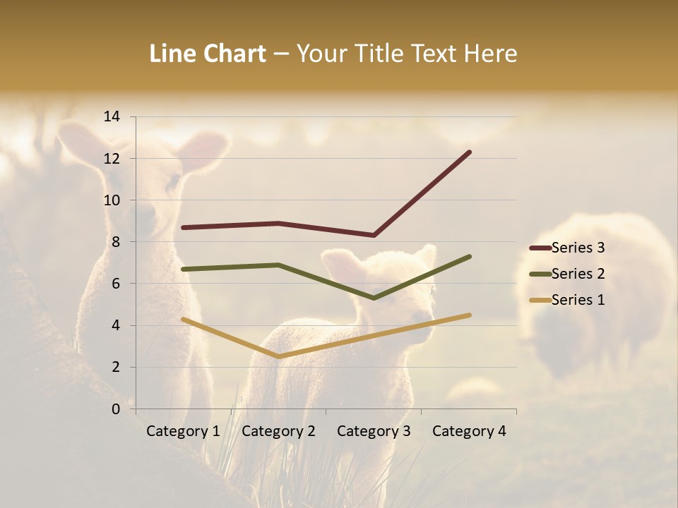 Farm Spring Lambs PowerPoint Template