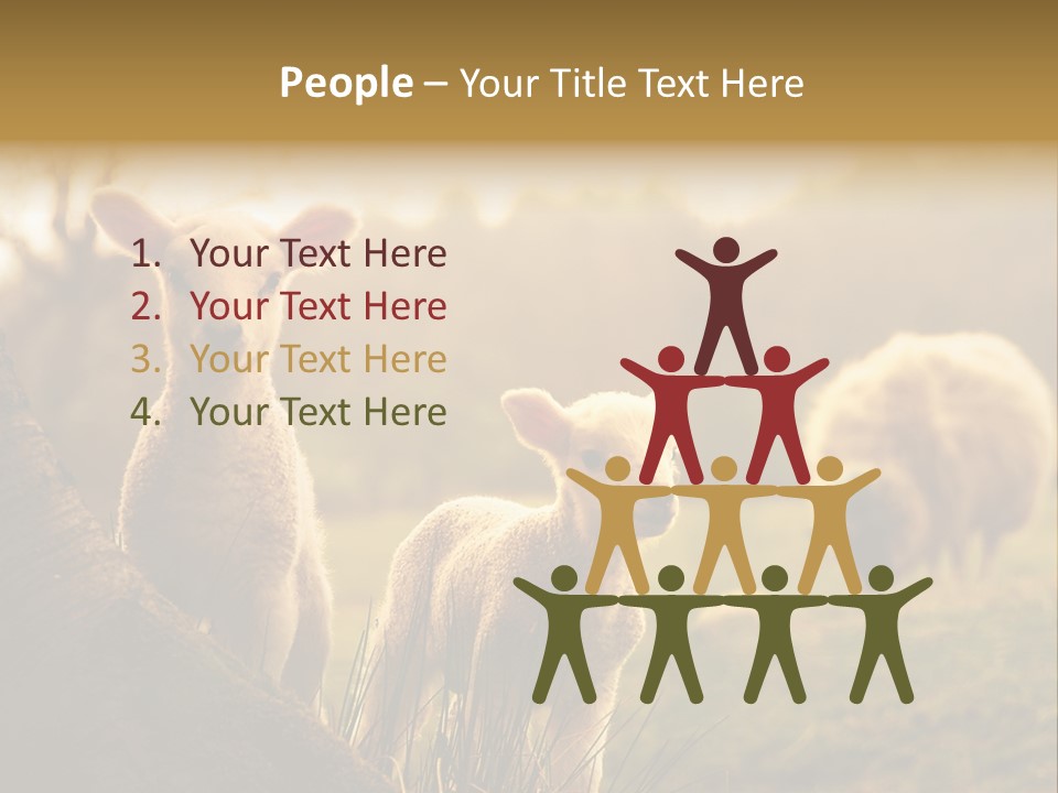 Farm Spring Lambs PowerPoint Template