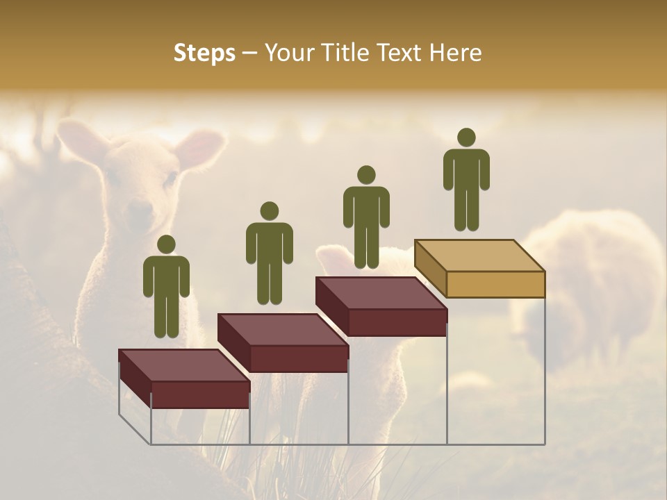 Farm Spring Lambs PowerPoint Template