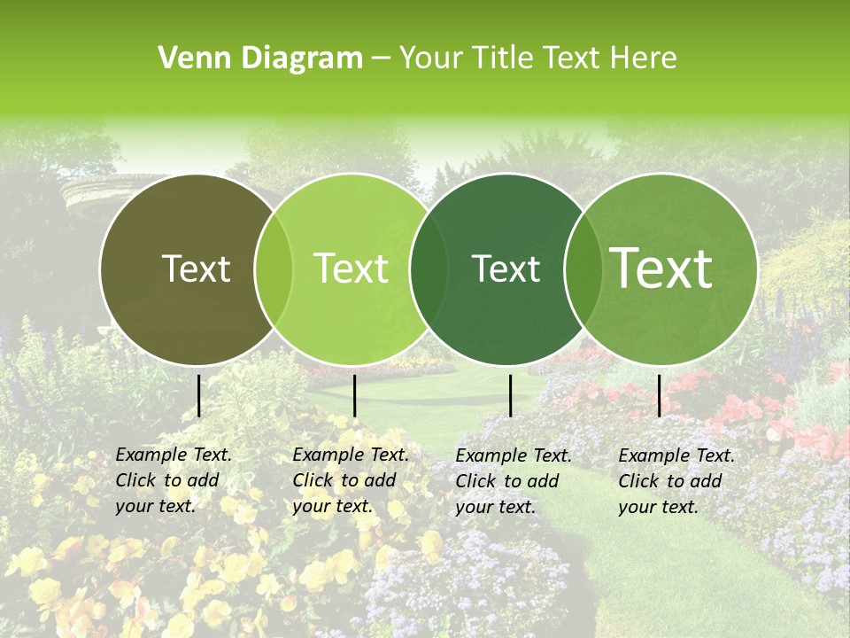 Peace Design Bloom PowerPoint Template