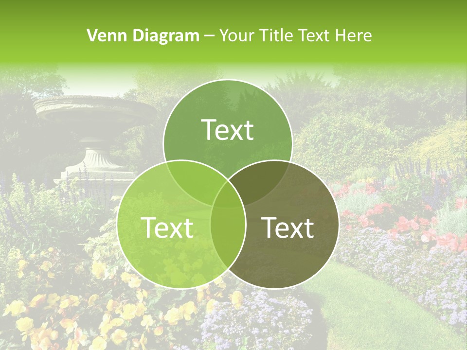 Peace Design Bloom PowerPoint Template