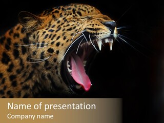 Park Africa Mammal PowerPoint Template