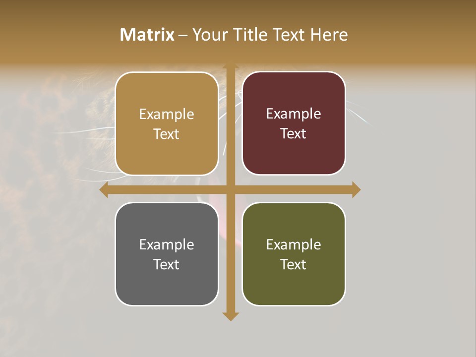 Park Africa Mammal PowerPoint Template
