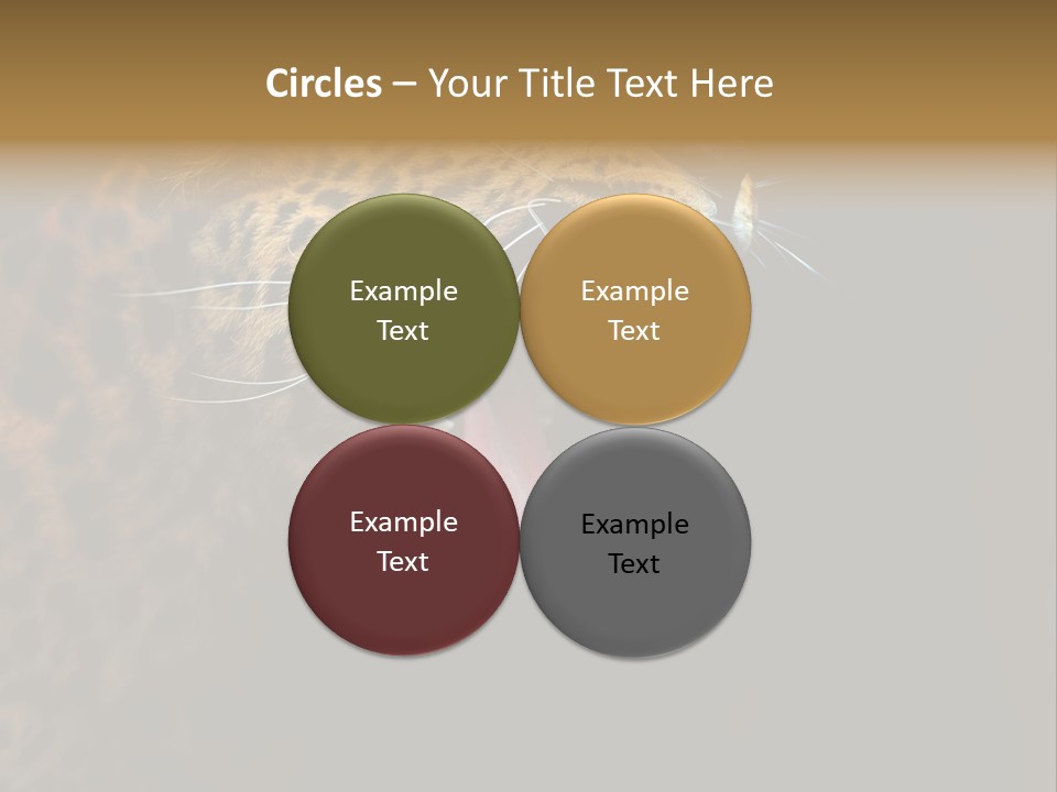 Park Africa Mammal PowerPoint Template