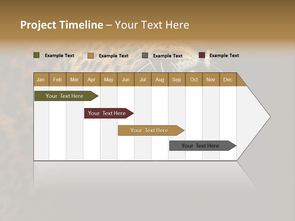 Park Africa Mammal PowerPoint Template