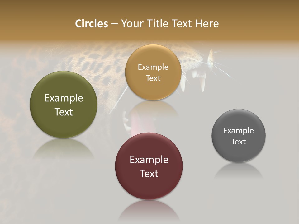 Park Africa Mammal PowerPoint Template