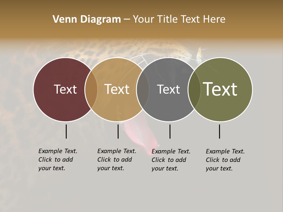Park Africa Mammal PowerPoint Template
