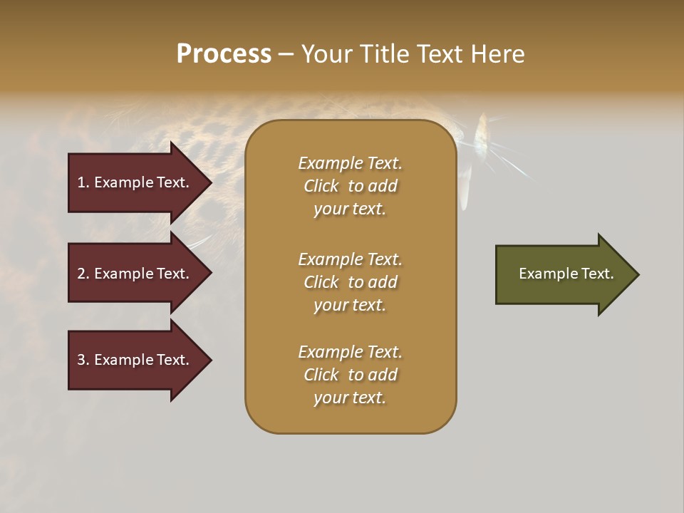 Park Africa Mammal PowerPoint Template