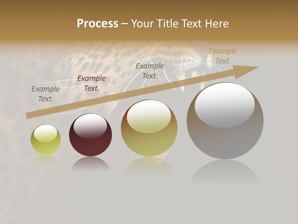 Park Africa Mammal PowerPoint Template