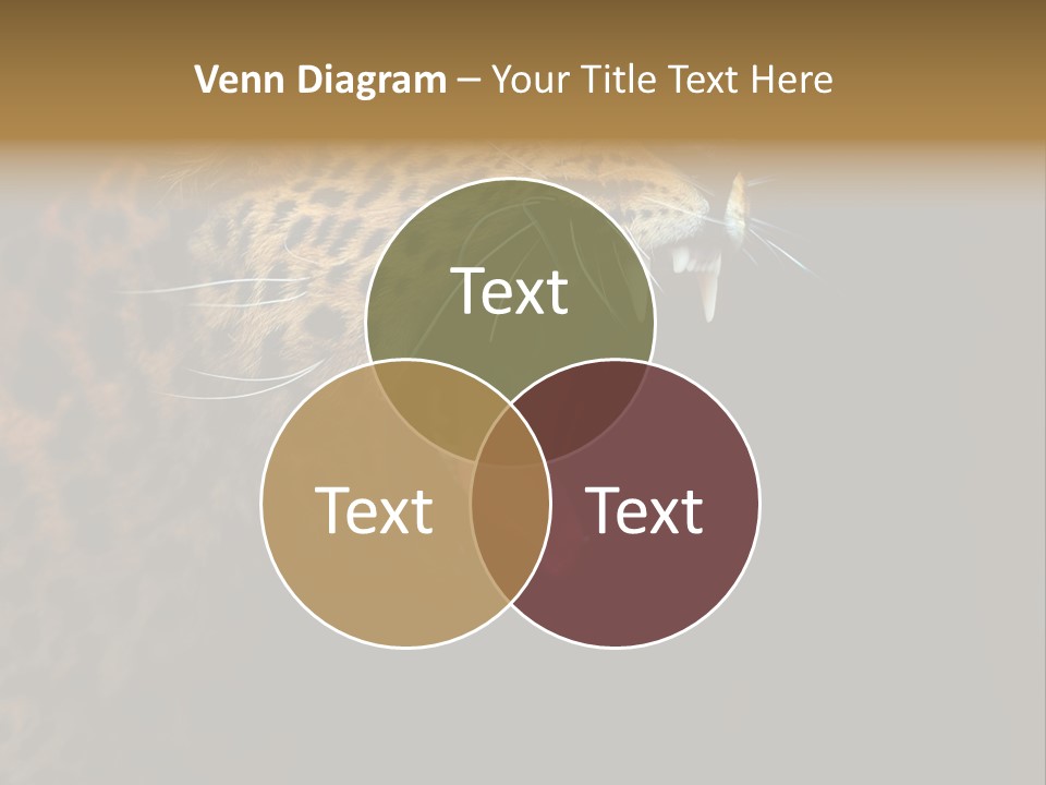 Park Africa Mammal PowerPoint Template