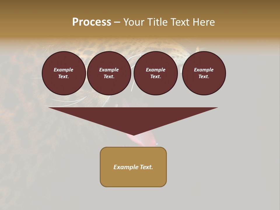 Park Africa Mammal PowerPoint Template