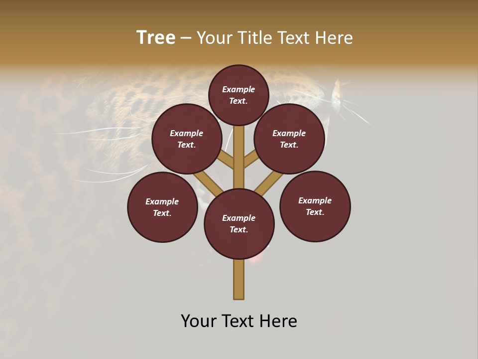 Park Africa Mammal PowerPoint Template