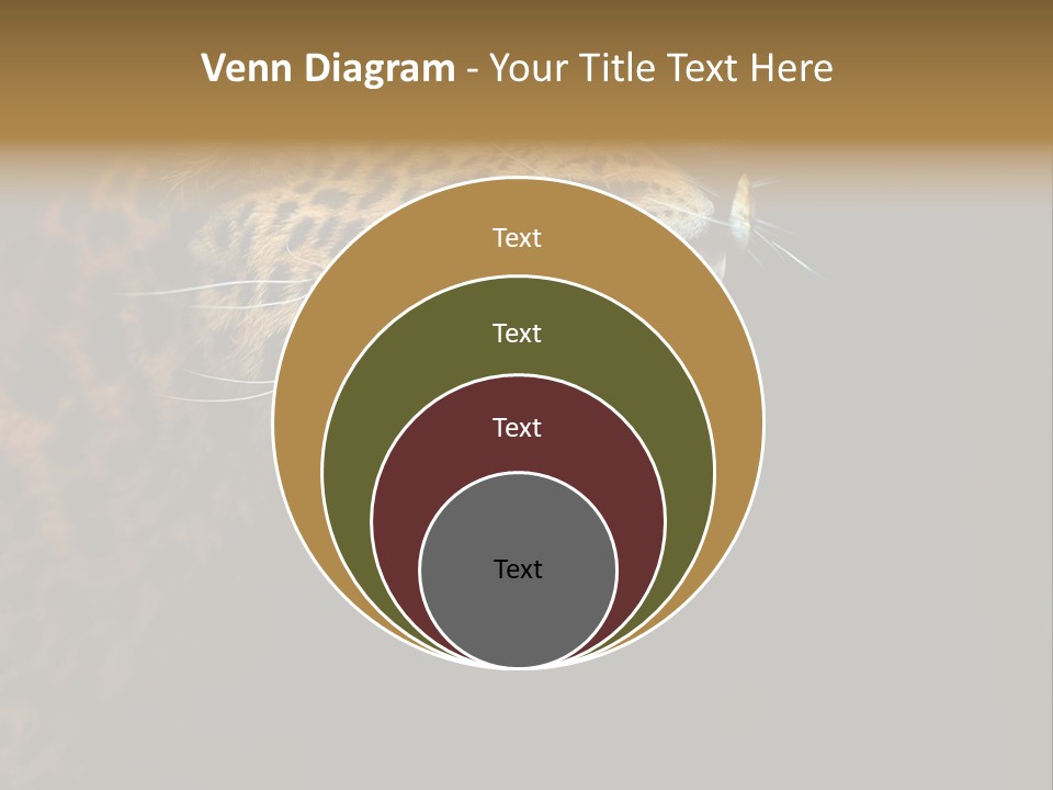 Park Africa Mammal PowerPoint Template