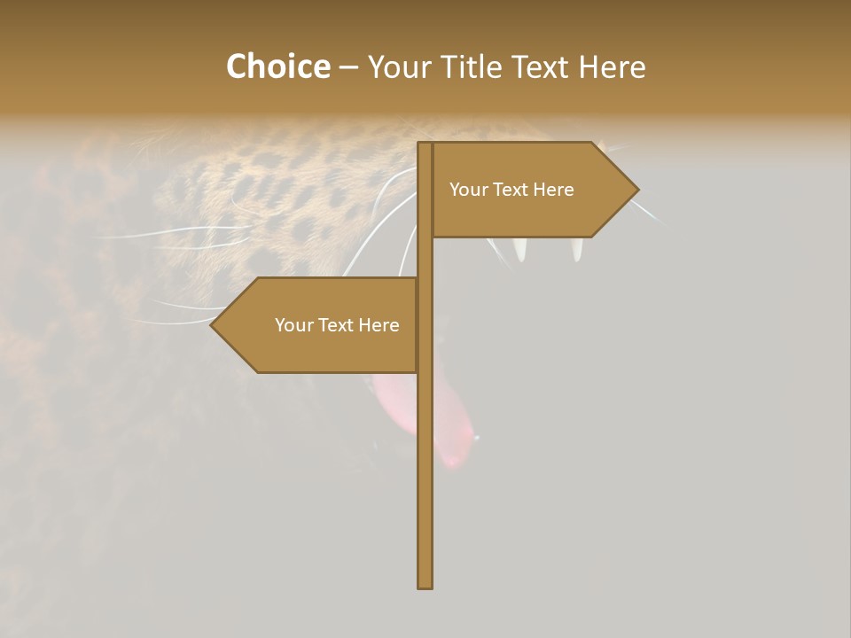 Park Africa Mammal PowerPoint Template