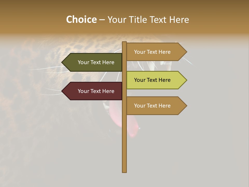 Park Africa Mammal PowerPoint Template
