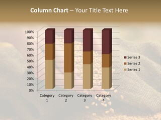 Closeup Field Food PowerPoint Template