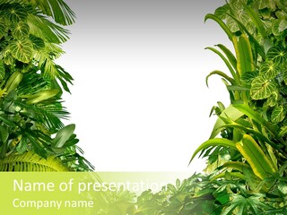 Tropical Plants Garden Blank Space PowerPoint Template