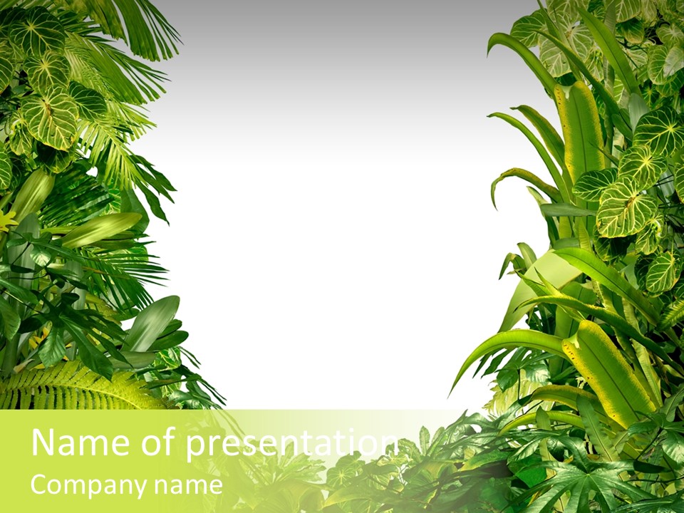 Tropical Plants Garden Blank Space PowerPoint Template