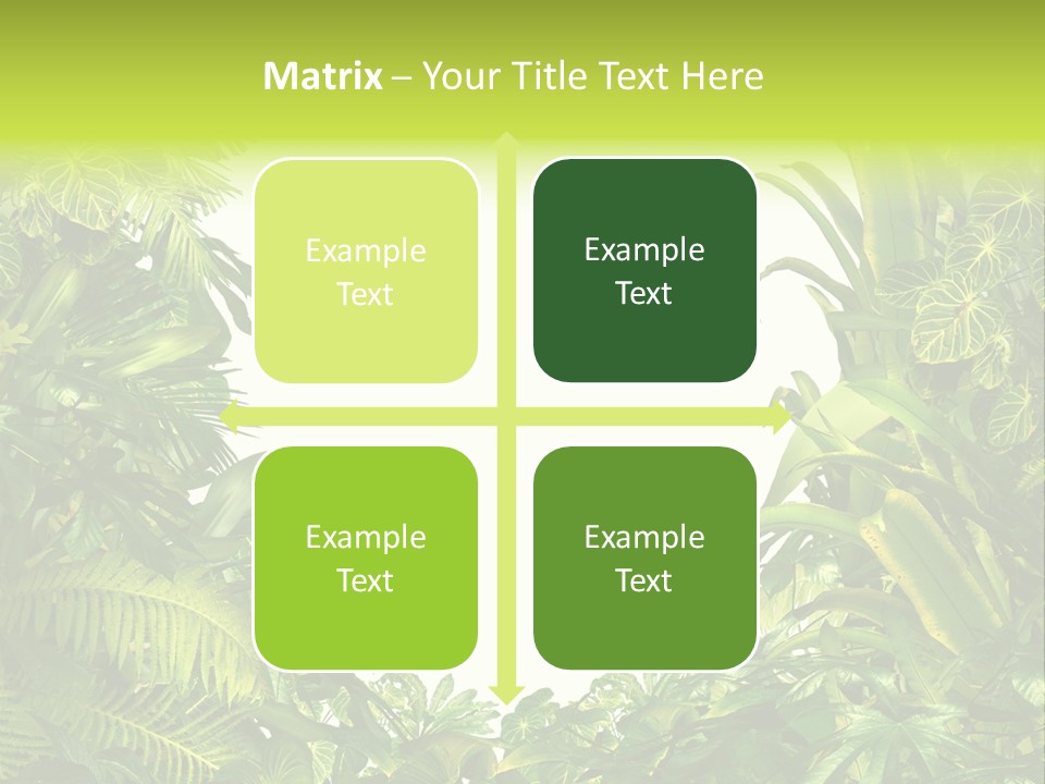 Tropical Plants Garden Blank Space PowerPoint Template