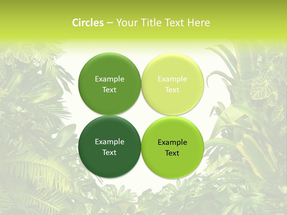 Tropical Plants Garden Blank Space PowerPoint Template