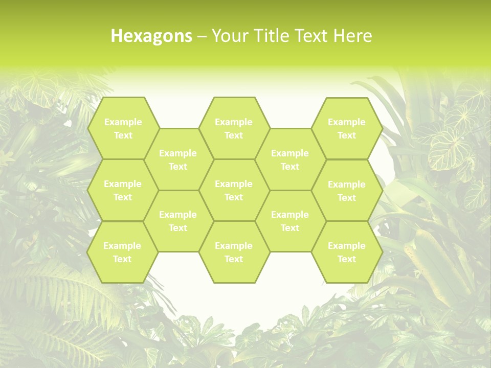 Tropical Plants Garden Blank Space PowerPoint Template