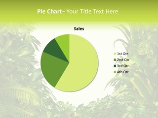 Tropical Plants Garden Blank Space PowerPoint Template