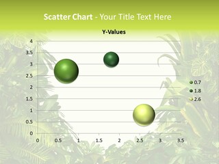 Tropical Plants Garden Blank Space PowerPoint Template